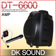 DT-6600 (무선2채널)